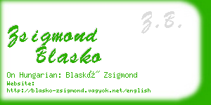 zsigmond blasko business card